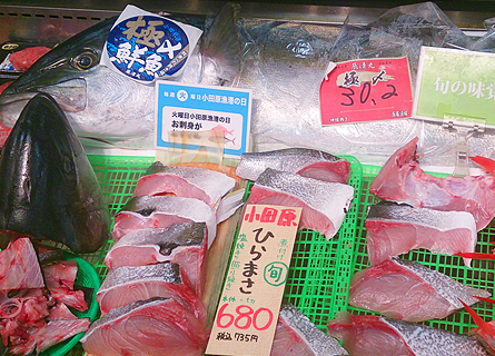小田原 庄和丸 鮮魚店