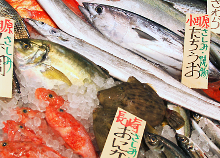 小田原 庄和丸 鮮魚店