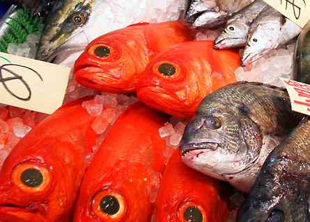 小田原 庄和丸 鮮魚店