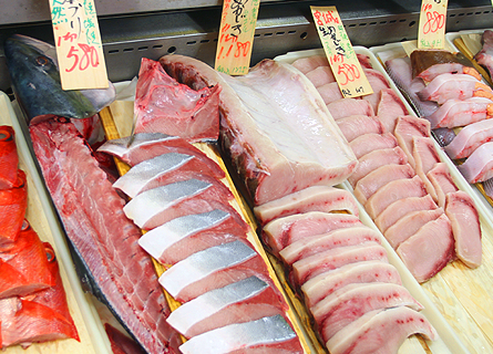 小田原 庄和丸 鮮魚店